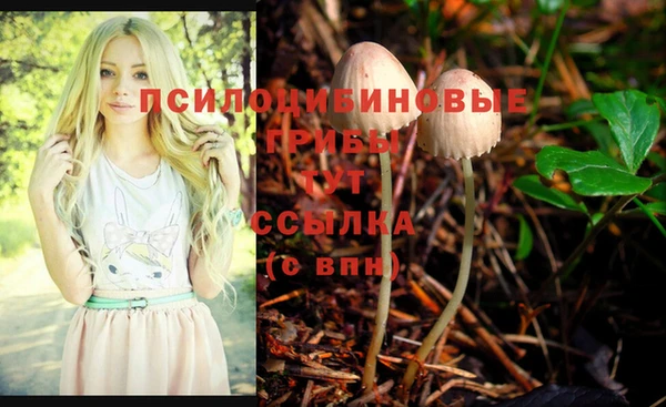 ECSTASY Балабаново