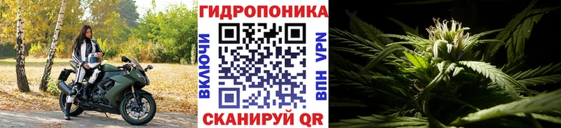 omg как зайти  Вятские Поляны  Каннабис MAZAR 